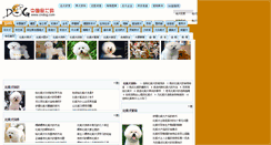 Desktop Screenshot of bixiong.cndog.net